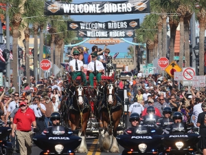 The worlds famous Clydesdales parade down Main Street in Daytona Beach thrilling thousands of bikers in town for Bike Week Saturday March 11, 2017. [News-Journal/JIM TILLER]